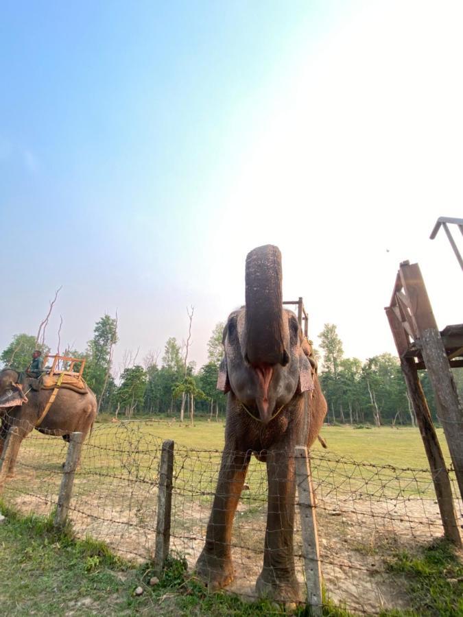 Hotel Shiva'S Dream Sauraha Dış mekan fotoğraf